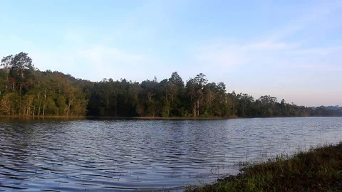 MVI 4598.1 Stock Footage 82712311