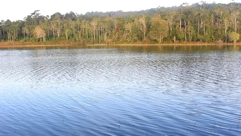 MVI 4615.1 Stock Footage 82713544