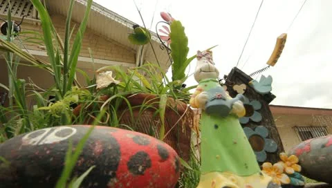 MVI 4619 Stock Footage 10906971