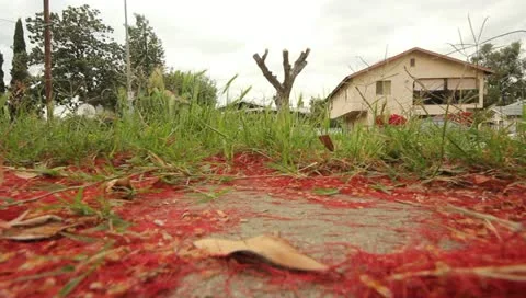 MVI 4620 Stock Footage 10907056