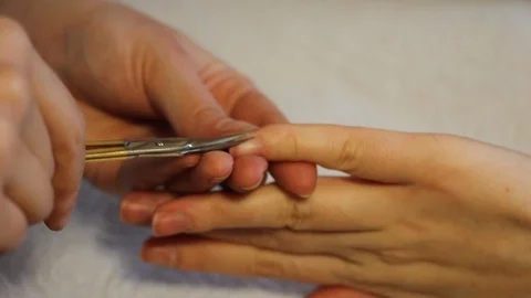 MVI 4622 Stock Footage 99876718