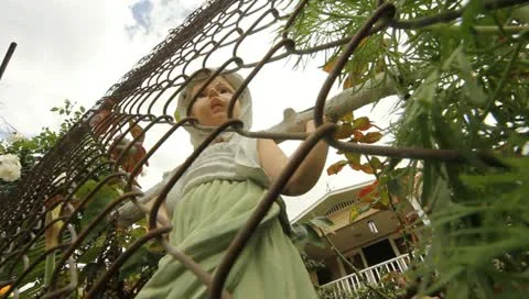 MVI 4625 Stock Footage 10906984