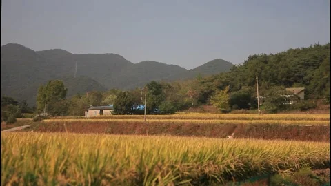 MVI 4683S Static Wide Shot of Traditional Korean House with Mountains Stock Footage 336942851