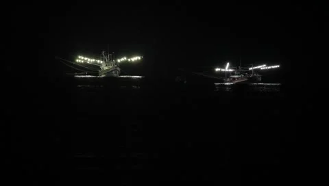 MVI 4749 Video stock 3981039