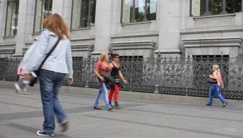 MVI 4780 動画素材 8827970