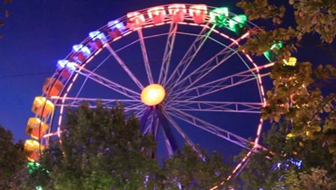 MVI 4816 Stock Footage 8829935