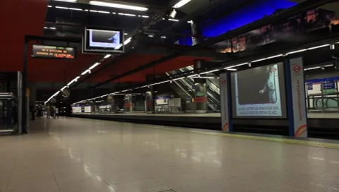 MVI 4841 動画素材 8831674