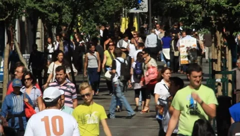 MVI 4886 Stock Footage 8836052