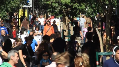 MVI 4892 Stock Footage 8836410