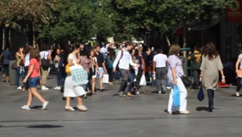 MVI 4894 動画素材 8836468