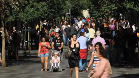 MVI 4899 Stock Footage 8836593