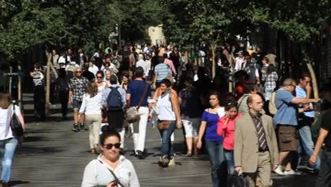 MVI 4906 Stock Footage 8836758