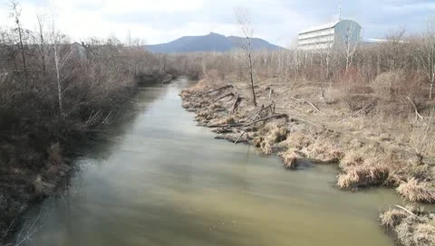 MVI 4988 Vídeos de archivo 10715854