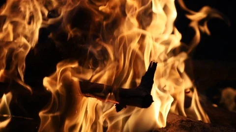 MVI 5003 Video stock 115577122