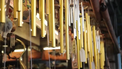 MVI 5024 Video stock 3980859