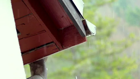 MVI 5080 Stock Footage 191036859