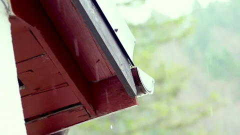 MVI 5081 Stock-Footage 191035668