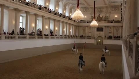 MVI 5192 動画素材 8919621