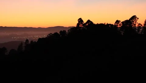 MVI 5228 動画素材 8799750