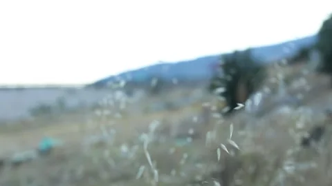 MVI 5427 Stock Footage 148413108