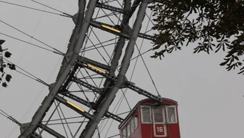 MVI 5454 動画素材 8919864