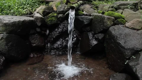 MVI 5578 Stock-Footage 138848380