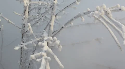 MVI 5622 Stock Footage 8930877