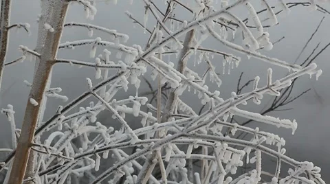 MVI 5625 Video stock 8831115