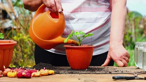 MVI 5634 Stock Footage 134970014