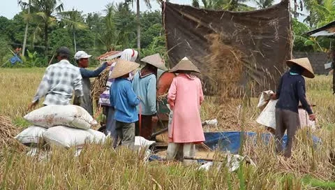 MVI 5646 Stock Footage 10835861