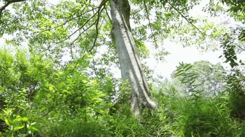 MVI 5895 Vídeos de archivo 11348852