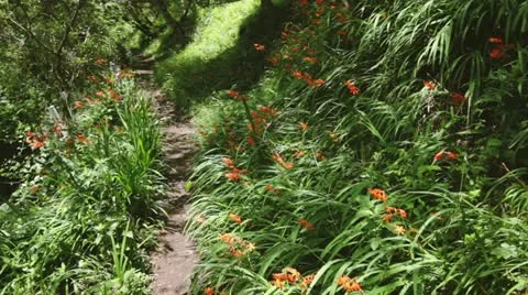 MVI 5901 動画素材 11348870