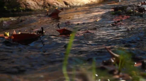 MVI 5979 2 Video stock 10849885