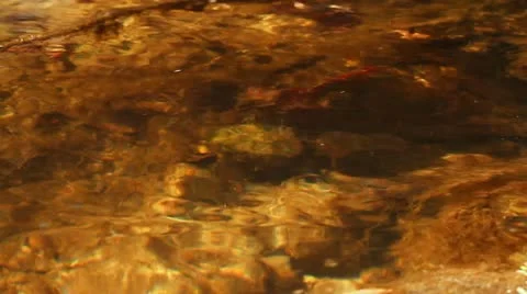 MVI 5981 Video stock 10850020