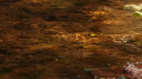 MVI 5987 Stock Footage 10849777