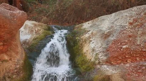 MVI 5988 Video stock 10849783