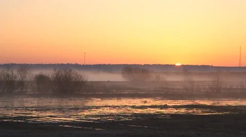 MVI 6 Stock Footage 33931063