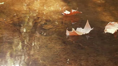 MVI 6010 Stock Footage 10849882