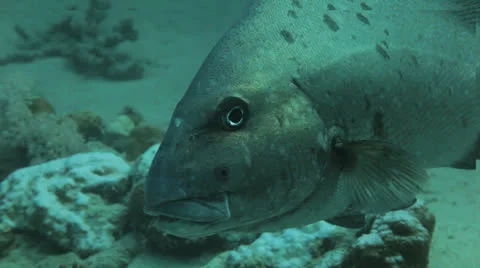 MVI 6020 1 Видео 22713745