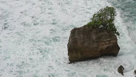 MVI 6244 Stock Footage 10835757