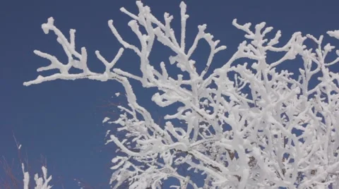 MVI 6281 Stock Footage 2047357