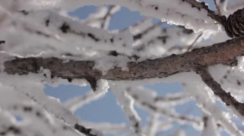 MVI 6286 Stock Footage 2045078