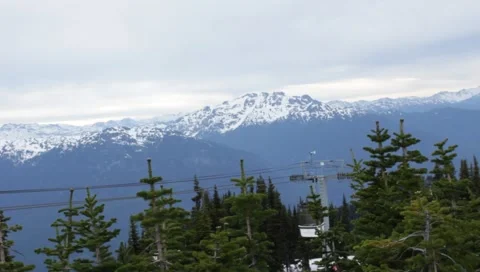 MVI 6313 Stock Footage 1018151