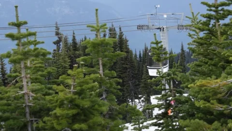 MVI 6314 Stock Footage 1018187