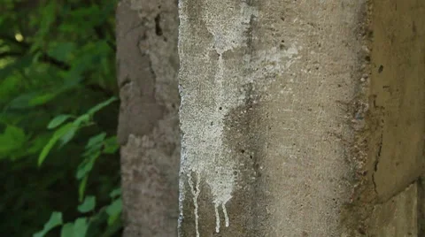 MVI 6473 Stock Footage 7894341