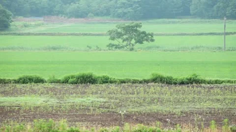 MVI 6578 Stock Footage 11631249