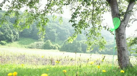 MVI 6626 Stock Footage 11631267