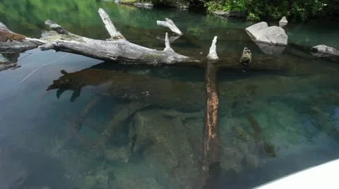 MVI 6669 Stock Footage 11631272