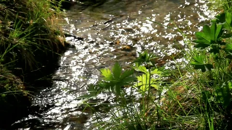 MVI 6675 Stock Footage 740083