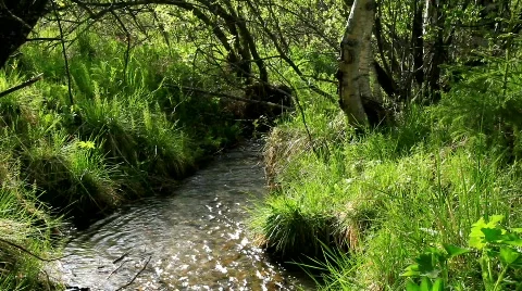 MVI 6677 Stock Footage 740099